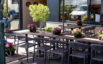 Terras aan Bedrijvenpark Twente 305 in Almelo met houten tafels, stoelen en planten, geschikt voor ontspannen vergaderingen of pauzes.