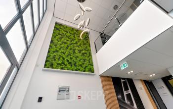 Ingang van een modern kantoorpand met een verticale tuin aan de muur in Almere Stad. Het interieur is licht en uitnodigend, ideaal voor bedrijven die kantoorruimte willen huren.