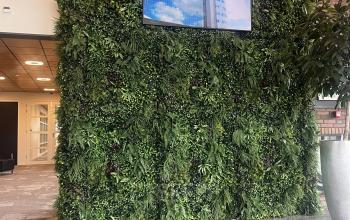 Verticaal groene wand in een kantoorpand op Leidse Schouw 2 in Alphen aan den Rijn, ideaal voor inspirerende werkplekken. Grote plantenwand met scherm, modern en uitnodigend voor kantoorruimte huren.