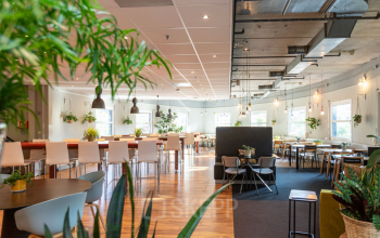 Moderne en lichte kantoorruimte te huur op Stationsplein 49, Amersfoort Centraal Station, met diverse zitplekken, houten vloeren en veel groen. Ideaal voor dynamische werkplekken en vergaderingen in een kantoorpand.