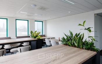 Moderne kantoorruimte met houten tafels, grijze stoelen en planten in Amersfoort Centrum. Huur deze lichte werkruimte voor een productieve omgeving.
