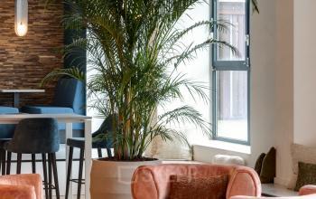 Gezellige, moderne lounge in kantoorpand aan Vanadiumweg 11, Amersfoort Isselt, ingericht met comfortabele zitmeubels en een grote plant. Ideaal voor informeel overleg of een ontspannen pauze tijdens de werkdag.