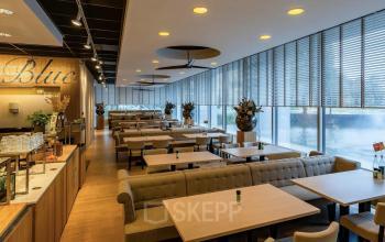 Modern ingerichte ruimte met lange tafels en natuurlijk licht in kantoorpand, geschikt voor kantine of ontmoetingsplek.