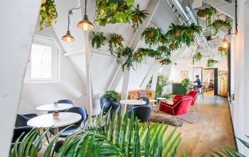 Modern kantoorpand in Amsterdam Centrum met knusse zitplaatsen, groene planten en stijlvolle inrichting. Perfect voor wie kantoorruimte wil huren in een levendige omgeving aan de Nieuwezijds Voorburgwal 162.