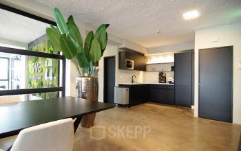 In het centrum van Amsterdam, kantoorruimte huren op Kleine Gartmanplantsoen 21 met modern ingerichte pantry en grote plant voor een frisse ambiance.