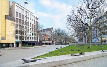 Buitenzijde van kantoorpand op Kleine Gartmanplantsoen 21 in Amsterdam Centrum, omringd door bomen en straatkunst. Mogelijkheid voor kantoorruimte huren in de drukke binnenstad.
