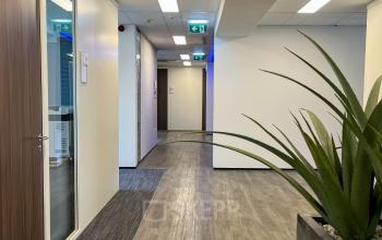 Gang in kantoorpand op Daalwijkdreef 47, Amsterdam Duivendrecht. De ruimte heeft een strakke afwerking met houten vloeren en kamerplanten. De gang biedt toegang tot verschillende kantoorruimtes.