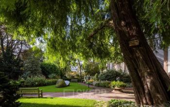 Groene buitenruimte met weelderige bomen en een bankje, ideaal voor ontspanning bij het kantoorpand aan de Herengracht 582-584 in Amsterdam Grachtengordel.