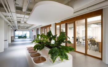Moderne kantoorruimte in Amsterdam Houthavens aan Van Diemenstraat 20-200 met plantenbakken en glazen wanden voor het huren van kantoor, lichte en ruime werkplekken in het kantoorpand.
