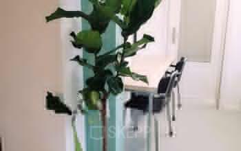 Kantoorruimte huren Oostzaanstraat 28, Amsterdam (1)