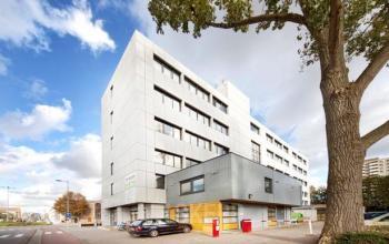 large 347f9c56e40c8263a020ce80504feb77