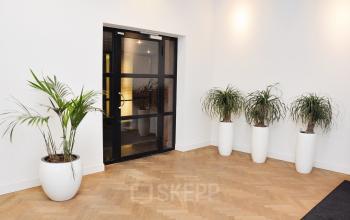 black doorframe plants and nice room