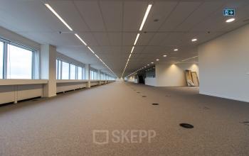 Also full floors for rent