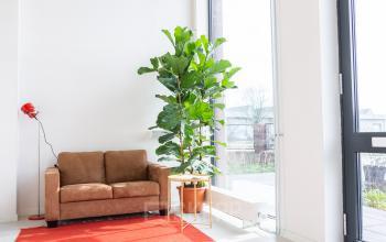 Kantoorruimte huren Bella Vistastraat 142, Amsterdam (1)