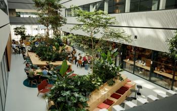 Gezellige en groene kantoorruimte huren aan het Science Park 301 in Amsterdam Oost, met veel planten en een open indeling. Mensen zijn bezig met vergaderingen en samenwerken aan tafels.