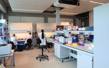 Kantoorruimte huren op Science Park 301 in Amsterdam Oost met moderne werkplekken. Mensen werken geconcentreerd aan laboratoriumexperimenten met diverse apparatuur en materialen op functionele werkbanken.