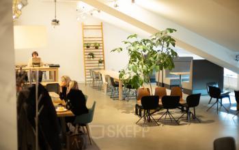 Moderne kantoorruimte te huur in Amsterdam Oud Zuid met werktafels, stoelen en grote plant. Drie mensen werken aan tafels in kantoorpand op Olympisch Stadion 24-28.