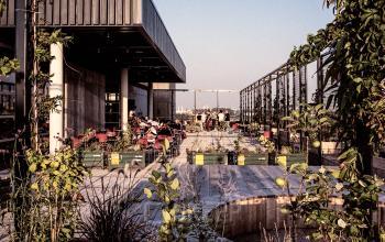 Groene daktuin op John M Keynesplein 12-46, Amsterdam Riekerpolder, met zitgedeelte waar mensen samenwerken en ontspannen. Ideaal voor kantoorruimte huren in een inspirerende omgeving.