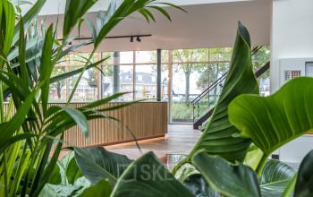 Moderne kantoorruimte met veel natuurlijk licht en groene planten, gelegen op John M. Keynesplein 4-10 in Amsterdam Riekerpolder. Perfect voor het huren van een inspirerende werkomgeving.