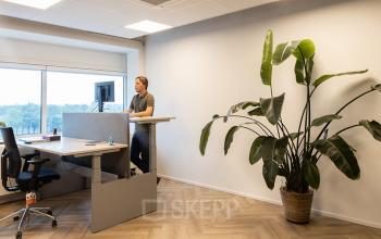 Kantoorruimte met moderne meubels op Kabelweg 37, Amsterdam Sloterdijk. Een persoon werkt staand aan een bureau met uitzicht op grote ramen en een plant in de hoek.