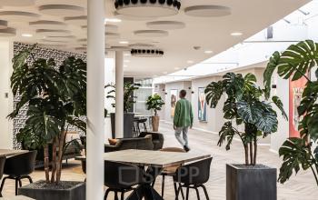 Moderne werkruimte in kantoorpand op Arlandaweg 92, Amsterdam Sloterdijk, met tafels, stoelen en planten. Een persoon loopt door de ruimte.