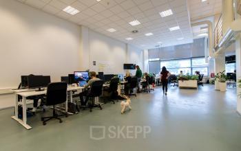 Modern flexdesks for rent including internet and lunch