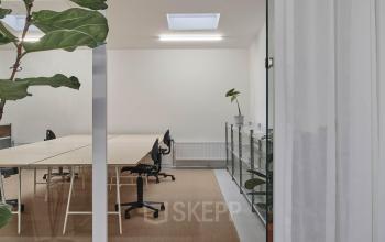Modern ingerichte kantoorruimte op Hondiusstraat 7H in Amsterdam West, met strakke tafels, ergonomische stoelen en een grote plant die bijdraagt aan een frisse werkomgeving.
