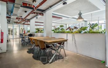 Kantoorruimte huren in Amsterdam West met moderne inrichting, grote tafel, stoelen en veel planten, gelegen op Bos en Lommerplantsoen 1. Ruim en licht dankzij de grote ramen.