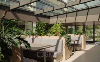 Ruime, lichte kantoorruimte met grote ramen en veel groen in Amsterdam West. Perfect om te huren voor bedrijven die op zoek zijn naar een inspirerende werkomgeving.