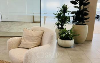 Gezellig ingerichte kantoorruimte huren in Amsterdam Zuid-Oost met comfortabele stoel en planten, ideaal voor ontspannen werken. Glazen wanden scheiden de verschillende kantoren binnen het kantoorpand.