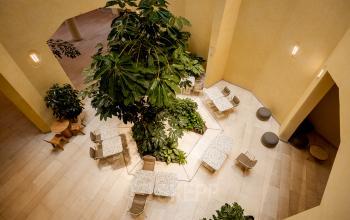 Een lichte kantoorruimte met meerdere tafels en stoelen, omgeven door groene planten, perfect voor huren in een kantoorpand voor informele meetings.