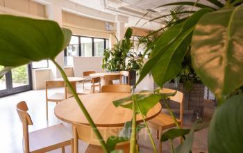 Licht kantoorinterieur op Luttenbergweg 8 in Amsterdam Zuid-Oost met houten tafels en stoelen tussen groene planten, ideaal voor kantoorruimte huren.