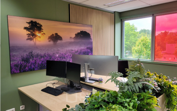 Kantoorruimte huren in Amsterdam Zuid-Oost met een raam dat uitzicht biedt op groen. De ruimte heeft bureauopstellingen met dubbele monitoren en planten aan de randen.