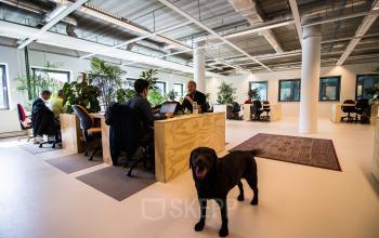 Flexible working space Amsterdam