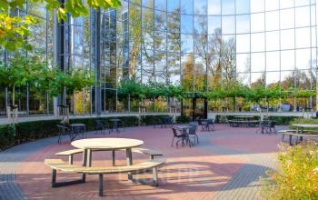 Buitenruimte met glazen gevel bij een kantoorpand aan de Landdrostlaan 51 in Apeldoorn, omgeven door bomen en voorzien van picknicktafels en zitplaatsen. Ideaal voor een ontspannen pauze.