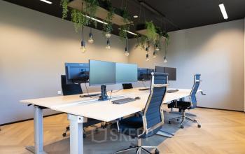 Moderne kantoorruimte huren in Apeldoorn met verstelbare bureaus, ergonomische stoelen en hangende planten voor een inspirerende werkplek.