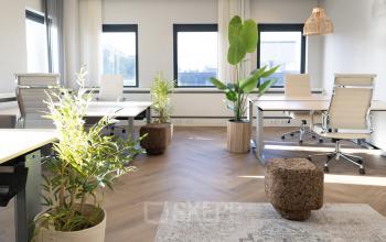 Lichte kantoorruimte met houten vloer op Schumanpark 9, Apeldoorn. Moderne bureaus met ergonomische stoelen, omgeven door planten, geschikt voor kantoorruimte huren.