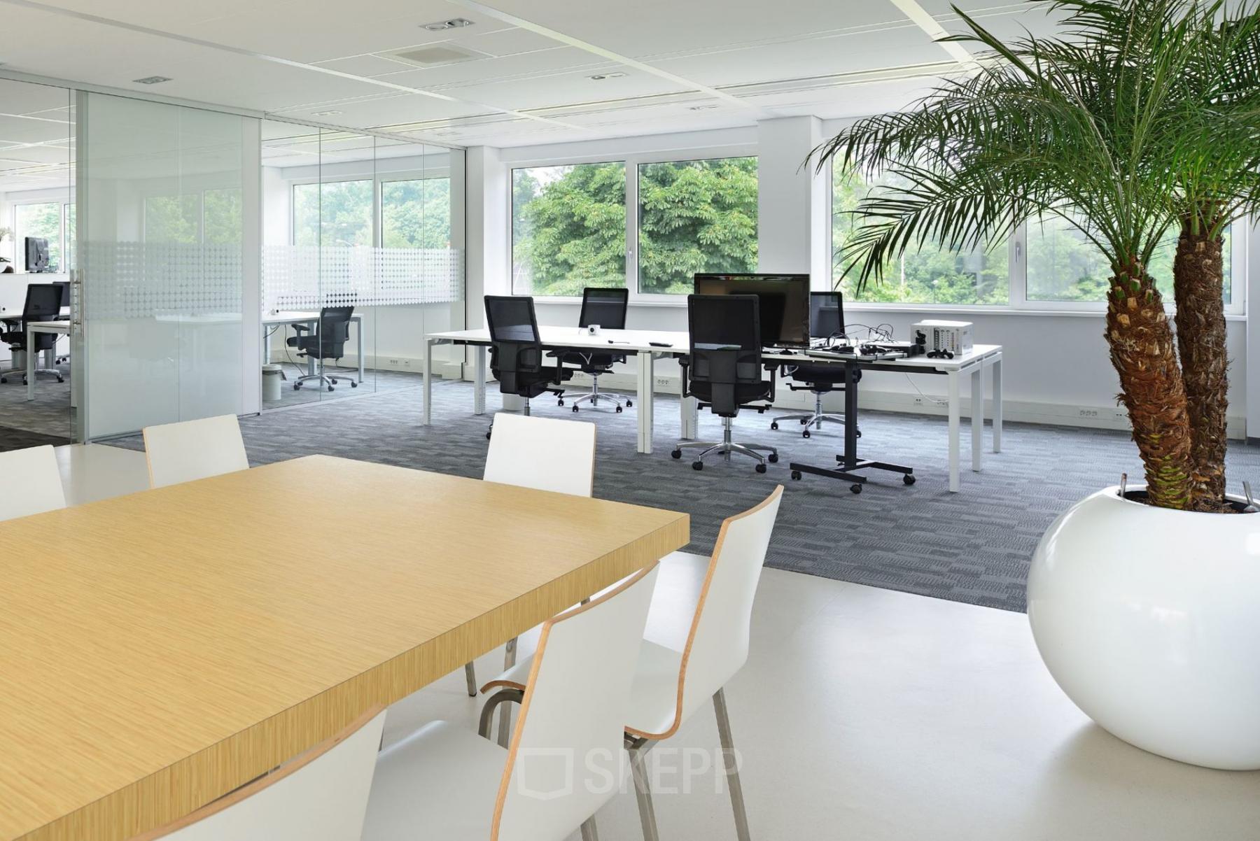 Kantoorruimte huren in Apeldoorn bij Laan van Malkenschoten 40, met een moderne en lichte werkplek, grote ramen, en een opvallende plant.