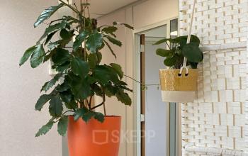 Kantoorruimte huren Kamerlingh onnesweg 10, Barendrecht (1)