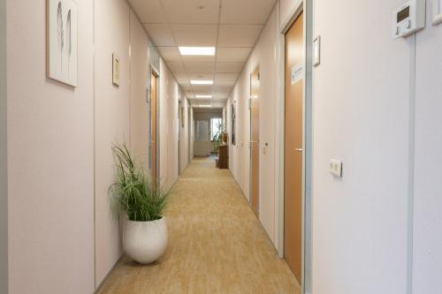 Lange gang in een kantoorpand met gesloten deuren aan beide zijden en een kantoorplant in een witte pot. Neutrale kleuren en tapijtbedekking. Locatie: Kamerlingh Onnesweg 10, Barendrecht.