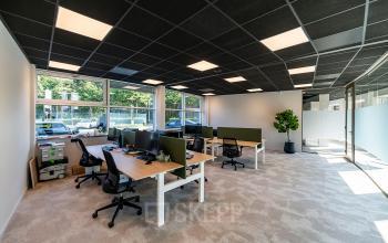Modern kantoorinterieur aan De Maas 8, Best. Gemeubileerd kantoorpand met bureaus, stoelen en planten met veel natuurlijk licht. Ideaal voor wie kantoorruimte wil huren in een lichte omgeving.