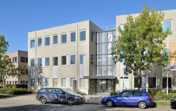front building car parking spots windows tree