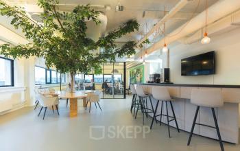 Moderne kantoorruimte op Rietbaan 2-12 in Capelle aan den IJssel, met een grote plant, stijlvolle zithoek en bar met krukken. Perfect om te huren voor zakelijke bijeenkomsten.