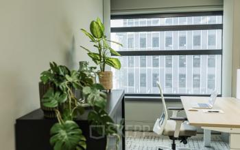 Moderne kantoorruimte te huur op Rietbaan 40-42 in Capelle aan den IJssel met een bureau, bureaustoel en planten bij het raam.