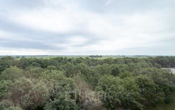 Kantoorruimte huren Rijnzathe 12e, De Meern (8)