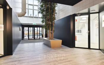 Heldere entree van een kantoorpand op Europalaan 6, Den Bosch, met groot raam, houten vloer en groene plantenbak, ideaal voor wie een kantoorruimte wil huren.