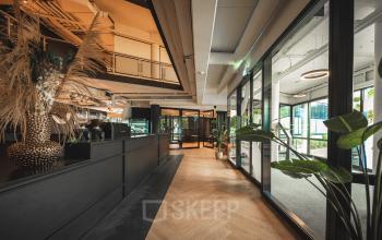 Moderne kantoorruimte op Hambakenwetering 1, Den Bosch, met groene planten en stijlvol interieur. Een uitnodigende gang met glazen wanden en natuurlijk licht. Ideaal om kantoren te huren in een inspirerende omgeving.