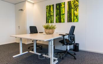 Kantoorruimte huren in Den Haag Centrum op Parkstraat 83 met twee bureaustoelen en een bureau in een lichte ruimte, decoratieve planten aan de muur.
