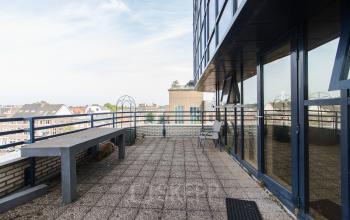 Dakterras