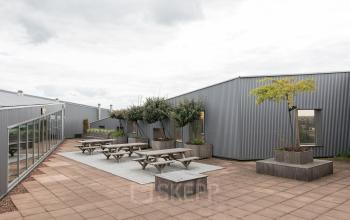Dakruimte van kantoorpand aan de Zutphenseweg 29 in Deventer met houten picknicktafels en groene planten, ideaal voor frisse pauzes. Geschikt voor kantoorruimte huren.